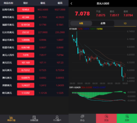 微交易时间盘 微盘外汇盘 三级分销可对接期货现货区块链等【修复日线二维码版】
