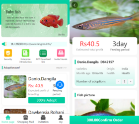 养鱼金融投资理财平台 双语言带积分商城+抽奖+会员特权+余额宝 自适应php源码三级分销