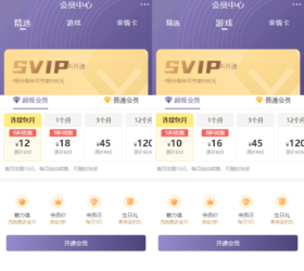 移动端app会员VIP网页模板 html源码