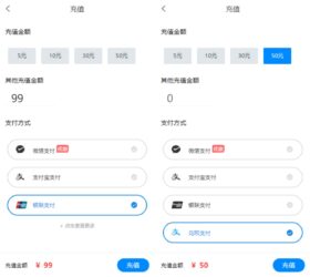 移动端充值支付网页模板 html源码