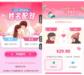 最新姓名配对测算系统 php源码