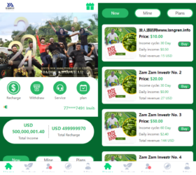 绿色果蔬投资平台 海外农业绿色理财 前端支持多语言 php源码