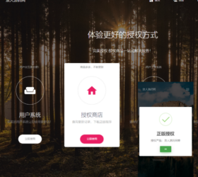 域名授权系统  独家修复响应时长带工单卡密 三级分销自适应php源码